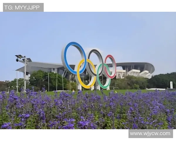 广州羽毛球队在钻石联赛中的耐力表现分析与启示